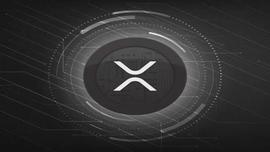 PLE:瑞波币：卡上有 500 倍 XRP 激增吗？_PPL
