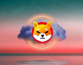 BIT:Shiba上涨3%，美国债务上限协议或让SHIB暴涨至1美元？_INU