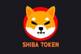 ROC:投资SHIB到0.01美元需要多少资金才能成为百万富翁？_SHIBDOGE价格