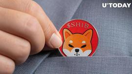 SHI:SHIB 价格触及转折点，数万亿柴犬代币抢购一空_AINU