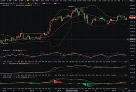 MATIC:今日BTC行情分析_MATICBEAR