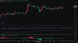 USD:BTC午间分析_Nexium