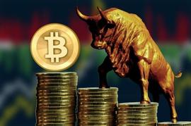 BTC:DCR 技术分析：高动量上升趋势注视 30 美元关口_BIT