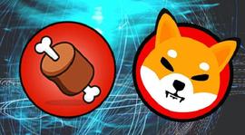 SHIBA:因为损失堆积，Shiba Inu价格令多头失望_BAI价格