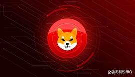 WIT:Dogecoin Twitter Logo新闻刺激柴犬 (SHIB) 集会；接下来是什么_SHIBAWITCH