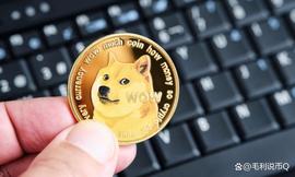 ITT:狗狗币成为新的 Twitter 标志？DOGE 在混乱中上涨 18%_TER