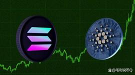 SOL:Cardano 与 Solana：下一个牛市的投资哪个更好？_LANA