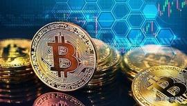ELLA:鲸鱼在加密货币大屠杀后突然添加 BTC，是时候购买了吗？_Umbrella Protocol