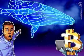 BTC:沉睡的比特币钱包在 11 年后苏醒，转移了超过 3000 万美元_CHA