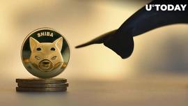 SEE:「崛起社区」巨鲸转移4万亿SHIB代币_AIN