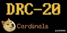 比特币:什么是DRC-20？如何铸造？狗狗币爆红协议让DOGE交易量大胜比特币_十年比特币动态走势图
