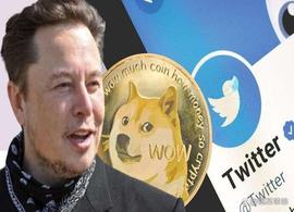 LOGO:马斯克把推特蓝鸟LOGO变DOGE，原因是什么？狗狗币大涨逾37%_powr币和马斯克