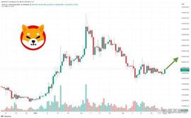 METAV:SHIB 在 24 小时内上涨 5% – 现在是投资SHIB的好时机吗？_ENTERMETA币
