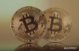 TEL:随着美元贬值，金砖国家引领国际对比特币的兴趣_DIP