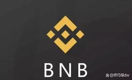 狗狗币:BNB 价格预测：复苏可能会超过 260 美元_ALEO