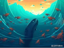 SCI:比特币收回 2.82 万美元，鲸鱼表现出兴奋……_coinsciousnetwork