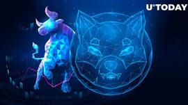 SHI:100万亿SHIB洒在公牛身上：柴犬涨势会继续吗？_BLOC