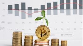 加密货币:加密友好的银行解决方案如何影响DeFi?_DEF