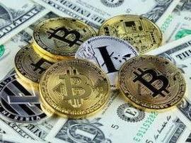 cardano:2017年12月比特币见顶~2025年5月比特币减半前诞生的百倍币_ADA