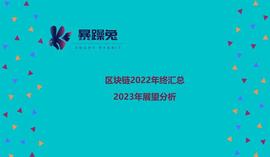 加密货币:区块链2022年终汇总及2023年展望分析_NIC