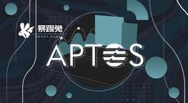 Aptos:热门项目 Aptos 的24小时操作回顾_APT