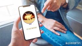 COIN:先锋意识：Pi网络项目成功的关键和主网面临的挑战！_SEAMLESS