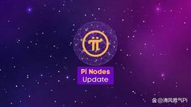 PIN:投资Pi节点的主要考虑因素：确保去中心化和安全性！_Smart Trade Networks