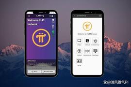 加密货币:Pi网络的十大鲜明特色与其他加密项目相比_数字货币