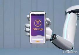RIDGE:PiBridge获得越南运营许可，准备与Pi Network和其他区块链互操作_PIB