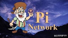 PIN:Pi币的愿景：创建一个人人都可以访问的加密货币网络_TWO
