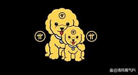 PIN:Pi Network于6月28日公布重磅消息，值得期待！_Baby Pi Network