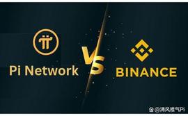 加密货币:Pi币与BNB的比较！_COINS