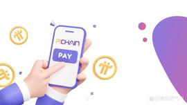 TOC:Pi链商城表示：他们将很快推出备受期待的余额支付功能！_ProCurrency