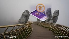 PINE:Pi Network：永不放弃，让我们一起成长！_Nominex
