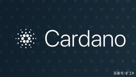 DEX:埋伏下一个公链机会—Cardano(ADA)_cardano