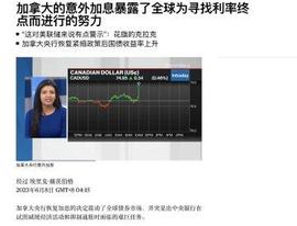 ARI:牛市一定会出现百倍币，我们应该布局那些板块？_FERRARI