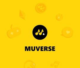 VER:Web 3之缘:慧眼投资Muverse的Syndicate Capital_TAL