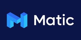 ATIC:全球前十大加密货币MATIC马蹄链_FRANC