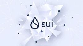 WEB:SUI 如何从零开始以 20 亿美元的估值成为以太坊最新的竞争挑战者_区块链