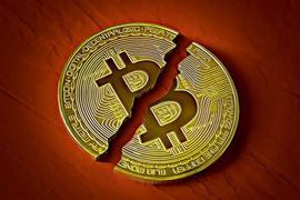 WOLFI:交易员迫不及待等待比特币减半，但这对大多数K工将是毁灭性的_加密货币