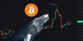 TIME:比特币冲高3.1万后急坠！巨鲸三周已吸筹7.1万枚BTC_time币上哪个交易所了