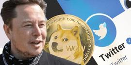 ITT:马斯克100万颗狗狗币，自己家里没矿，Twitter卷入DOGE官司_马斯克放弃狗狗币