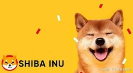 SHIBAI:Shibarium Beta 交易接近 1000 万——SHIB 的采用率在上升吗？_INU