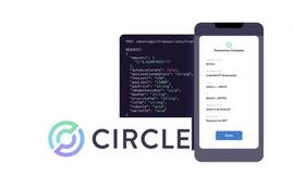 ARK:Circle 推出 Wallet as a Service，试图降低 Web 3 进入障碍_quarkchain币发行人