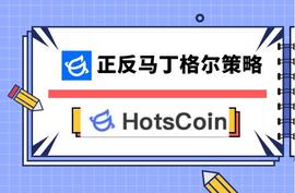 FLEX:马丁策略和反马丁策略哪个好用？_LEX币