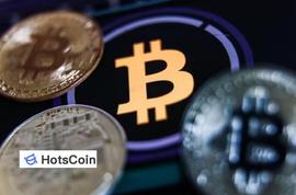 莱特币:比特币国外交易网站，比特币购买是哪些人_ECT