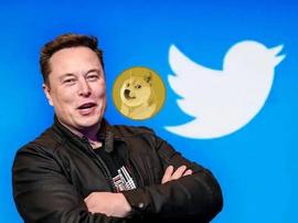 TER:狗狗币会成为 Twitter 的货币吗？_matter币未来