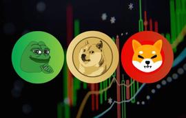 COIN:「崛起社区」什么是最高升值 7,000% 的 Memecoins 加密货币？_ECO