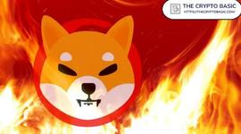 SHIB:超过 150 亿只柴犬在 5 月被烧毁_CATSHIRA