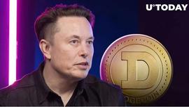 ELON:「崛起社区」埃隆·马斯克发布新的“狗”推文，狗狗币上涨 5.76%_DATADOGE